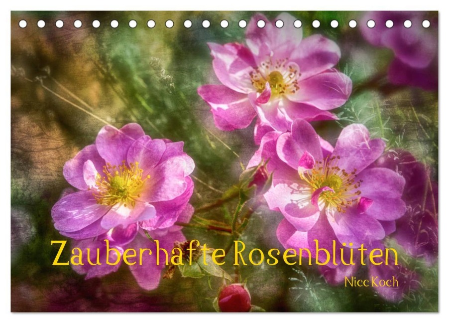 Zauberhafte Rosenblüten (Tischkalender 2025 DIN A5 quer), CALVENDO Monatskalender - Nicc Koch