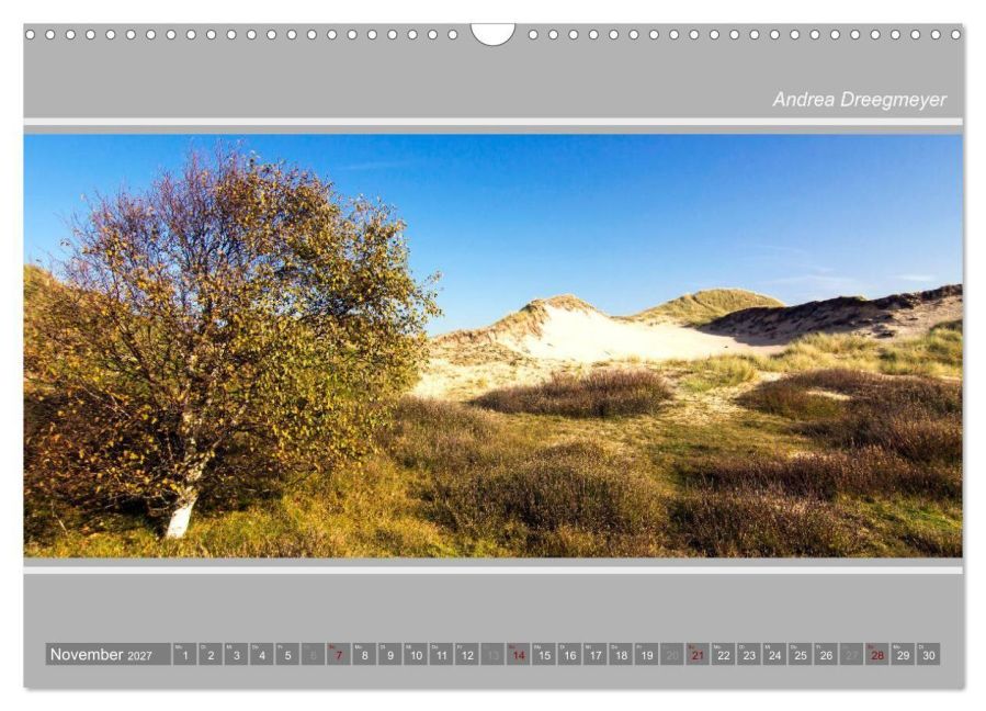 InsideView 3