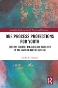 Cover-Bild zum Titel 'Due Process Protections for Youth' von 'Emily K. Pelletier'