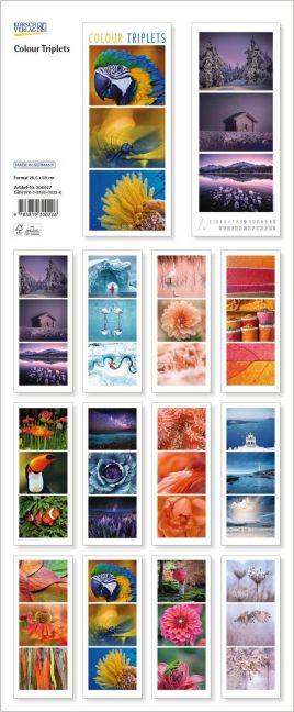 InsideView 13