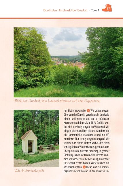InsideView 6