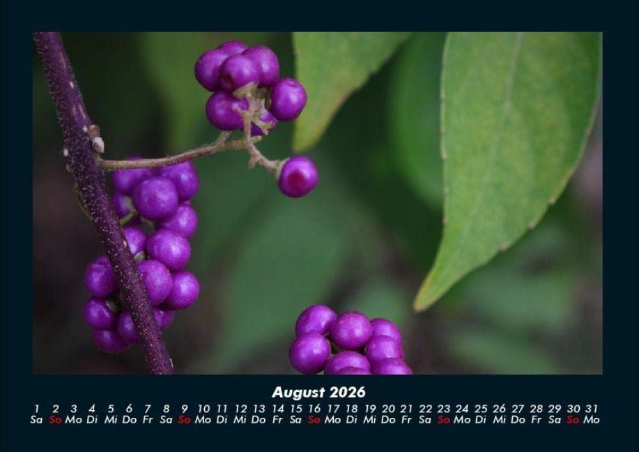 InsideView 12