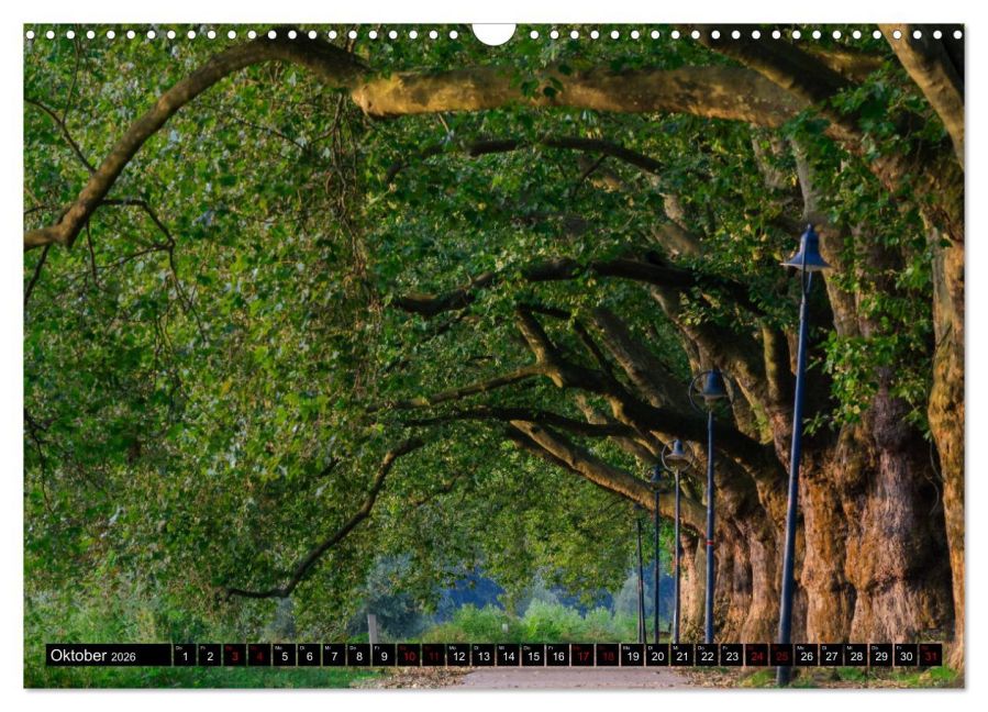 InsideView 2