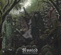 Cover-Bild zum Titel 'Rooted' von 'Restless Leg Syndrome'
