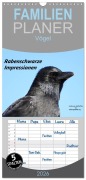 Cover-Bild zum Titel 'Familienplaner 2026 - Rabenschwarze Impressionen - meike-ajo-dettlaff.de via wildvogelhlfe.org mit 5 Spalten (Wandkalender, 21 x 45 cm) CALVENDO' von 'Meike Ajo. Dettlaff'