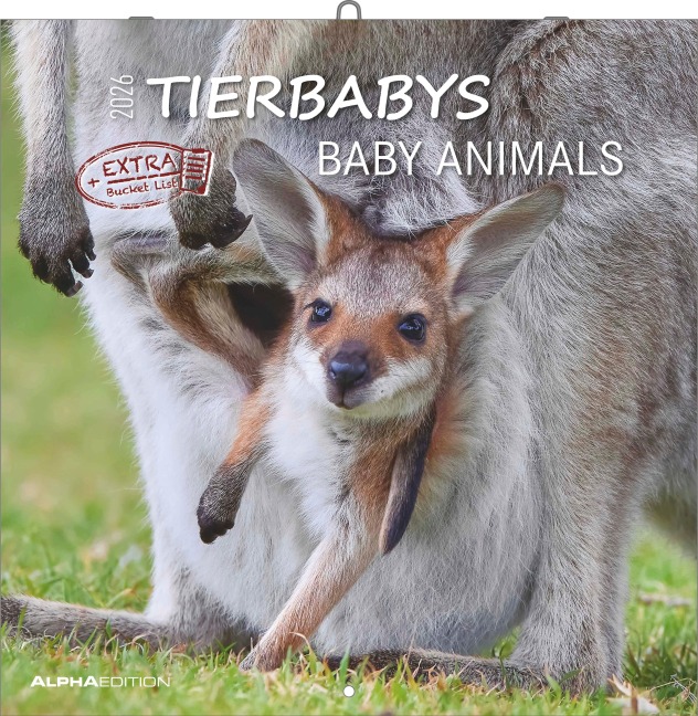 Tierbabys 2026 - Broschürenkalender 30x30 cm (30x60 geöffnet) - Kalender mit Platz für Notizen - Baby Animals - Bildkalender - Wandplaner - Alpha Edition - 