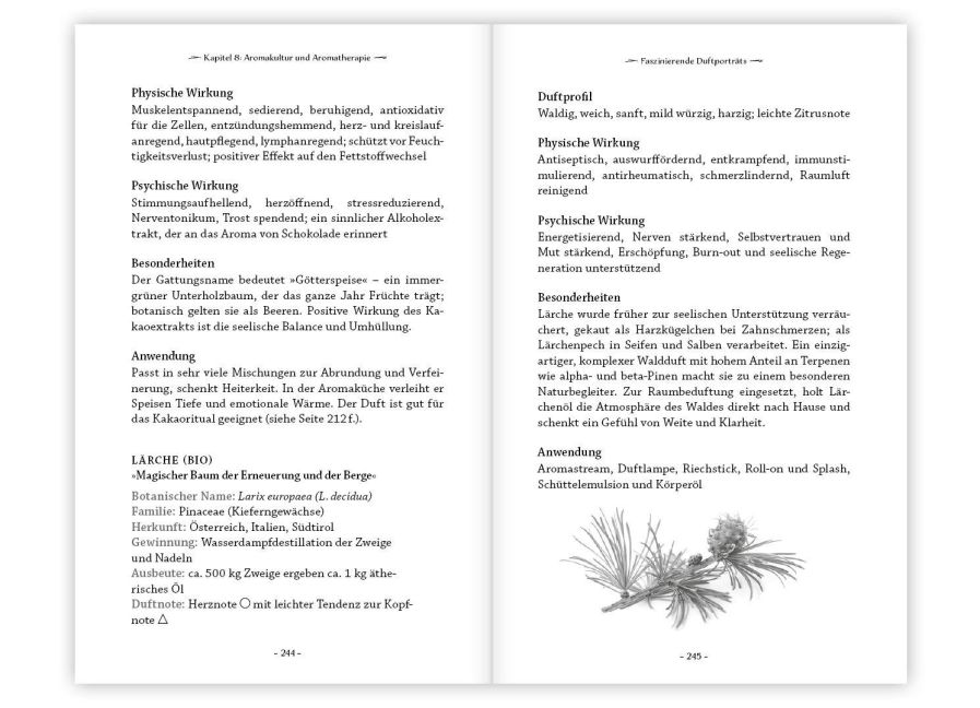 InsideView 5