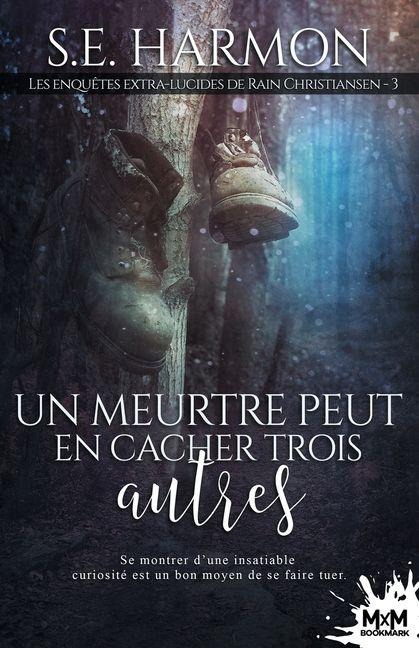 Un meurtre peut en cacher trois autres - S E Harmon