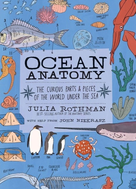 Ocean Anatomy - Julia Rothman