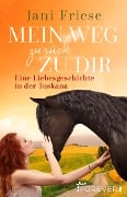Cover-Bild zum Titel 'Mein Weg zurück zu dir' von 'Jani Friese'