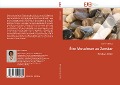 Cover-Bild zum Titel 'Être Musulman au Zanskar' von 'Salomé Deboos'
