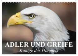 Cover-Bild zum Titel 'Adler und Greife - Könige des Himmels (Wandkalender 2026 DIN A3 quer), CALVENDO Monatskalender' von 'Elisabeth Stanzer'