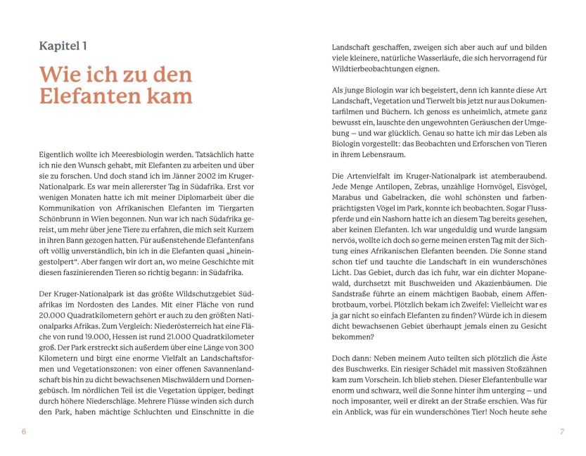 InsideView 4