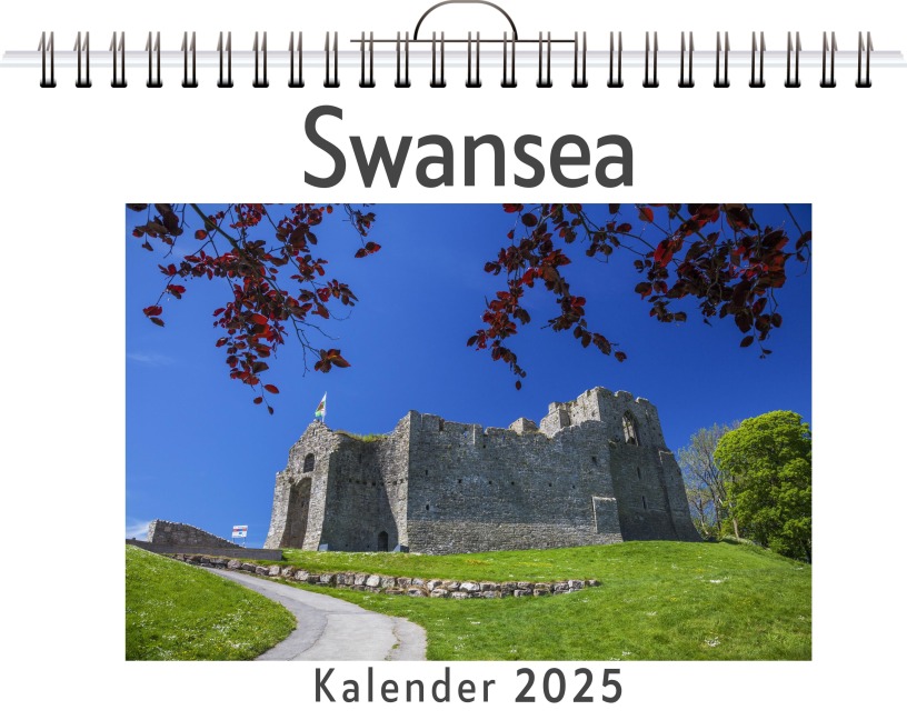 Swansea - Julian Weber