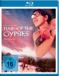 Cover-Bild zum Titel 'Time of the Gypsies - Zeit der Zigeuner' von 'Emir Kusturica, Gordan Mihic, Goran Bregovic'