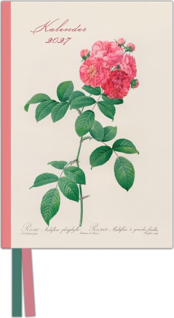 Redoutes Rosen 2027 - 
