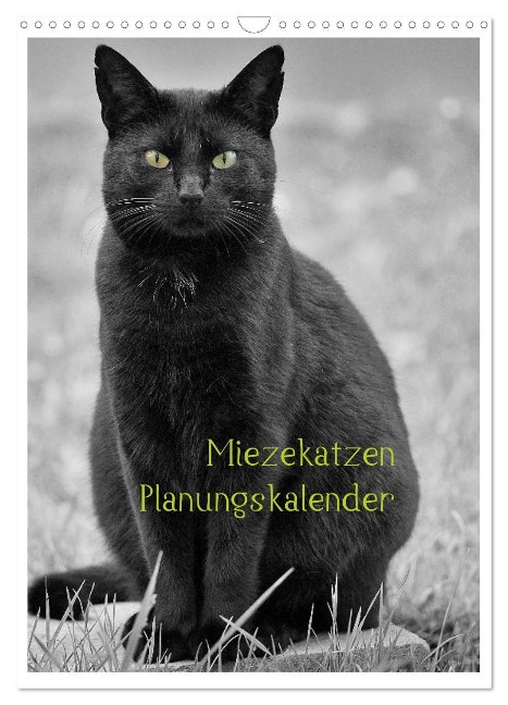 Miezekatzen Planungskalender (Wandkalender 2025 DIN A3 hoch), CALVENDO Monatskalender - Hans Zitzler