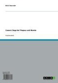 Cover-Bild zum Titel 'Caesars Siege bei Thapsus und Munda' von 'Mario Deprander'