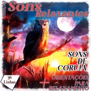 Cover-Bild zum Titel 'Coleção Sons Relaxantes - sons de coruja' von 'Silvia Strufaldi'