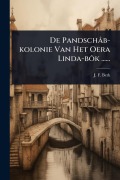 Cover-Bild zum Titel 'De Pandschâb-kolonie Van Het Oera Linda-bÃ¿k ......' von 'J F Berk'