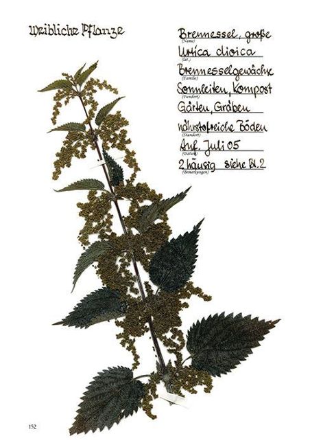 InsideView 15