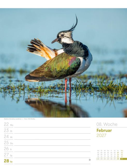 InsideView 12