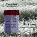 Meilensteine der Violinliteratur - Alois/Collegium Instrumentale A. Kottman Kottmann