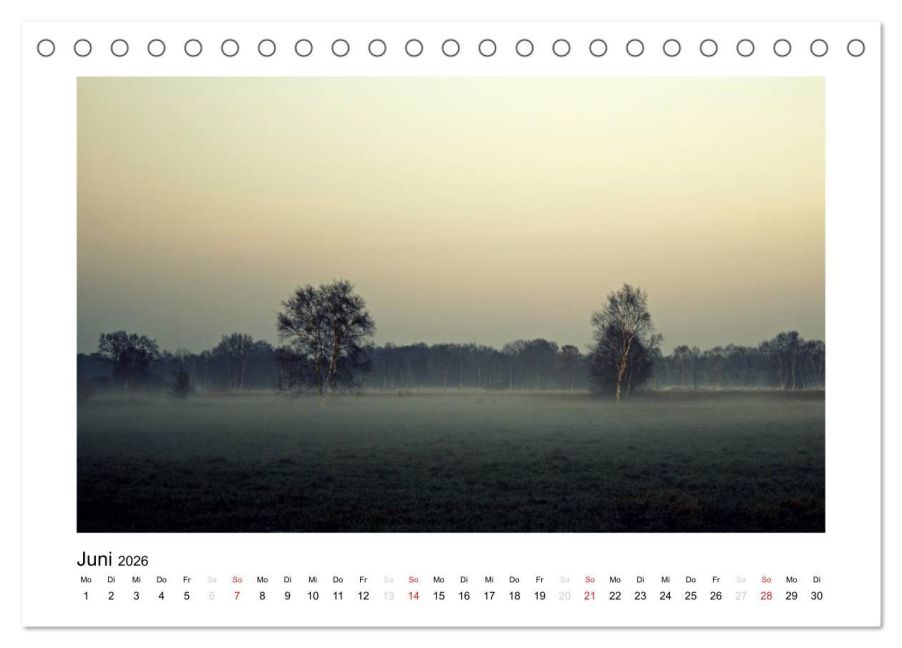 InsideView 11