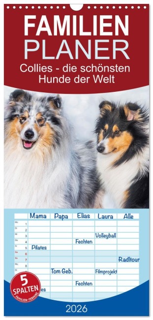 Familienplaner 2026 - Collies - die schönsten Hunde der Welt mit 5 Spalten (Wandkalender, 21 x 45 cm) CALVENDO - Sigrid Starick