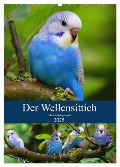 Der Wellensittich - Mein Lieblingsvogel (Wandkalender 2025 DIN A2 hoch), CALVENDO Monatskalender - Björn Bergmann