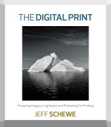 Cover-Bild zum Titel 'The Digital Print' von 'Schewe Jeff'