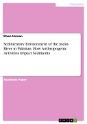 Cover-Bild zum Titel 'Sedimentary Environment of the Indus River in Pakistan. How Anthropogenic Activities Impact Sediments' von 'Khan Usman'