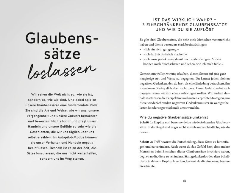 InsideView 4