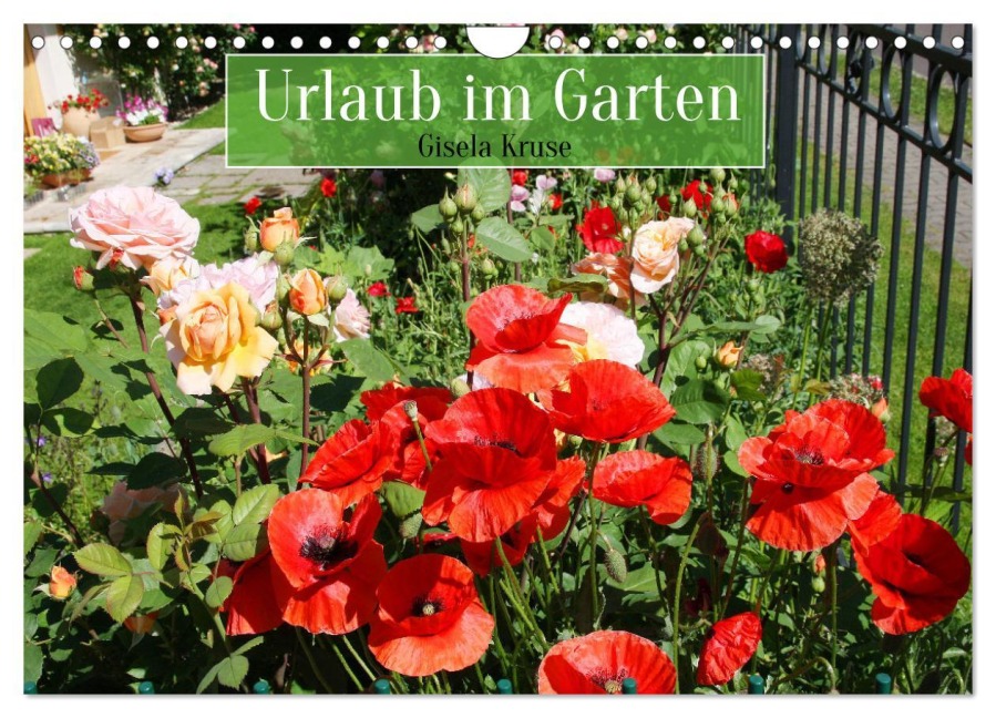 Urlaub im Garten (Wandkalender 2026 DIN A4 quer), CALVENDO Monatskalender - Gisela Kruse