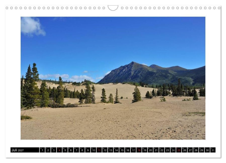 InsideView 12