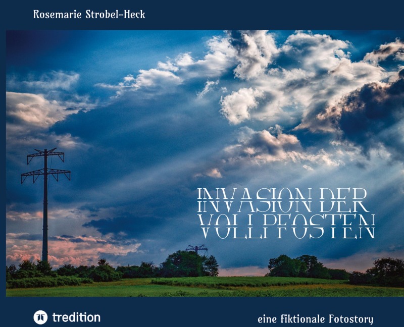 Invasion der Vollpfosten - Rosemarie Strobel-Heck
