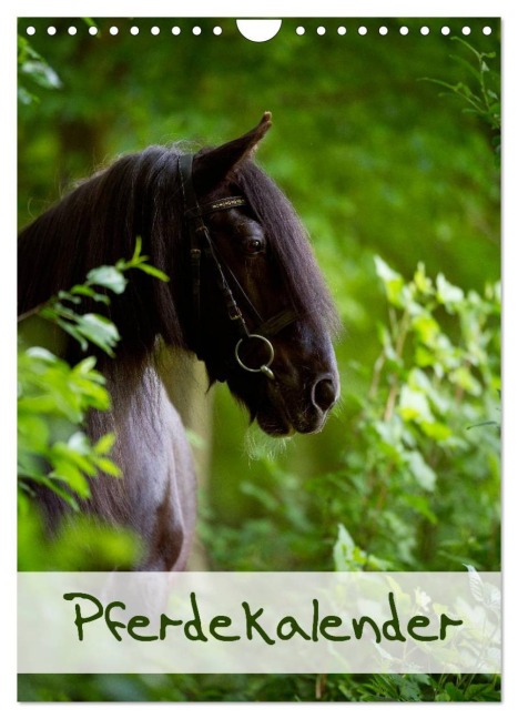 Pferdekalender (Wandkalender 2026 DIN A4 hoch), CALVENDO Monatskalender - Nicole Noack