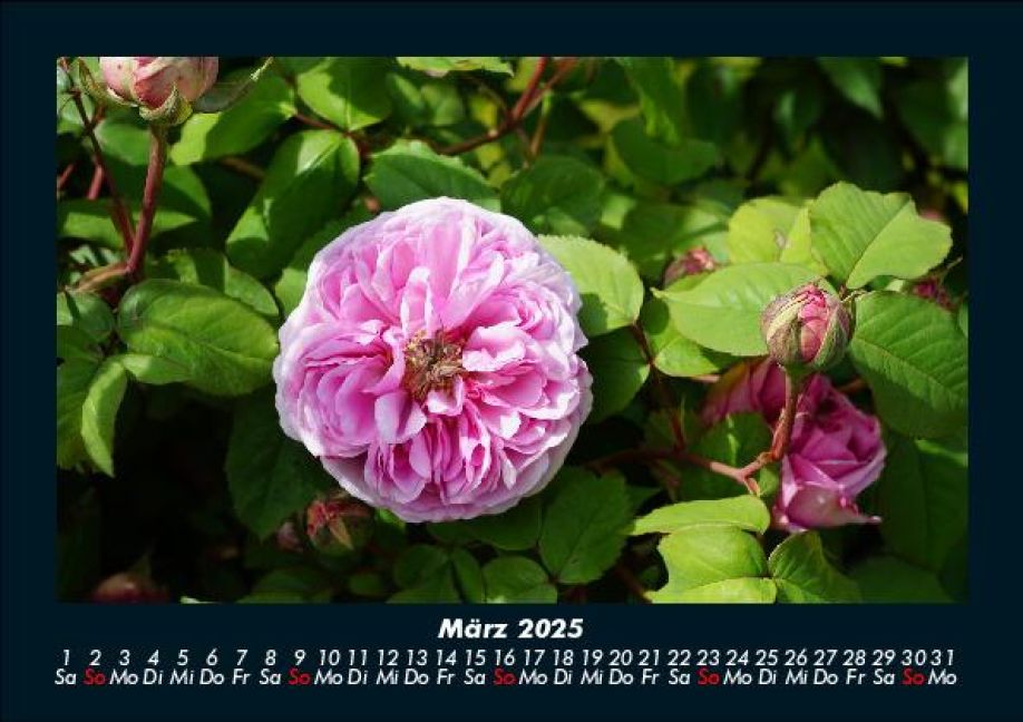 InsideView 7