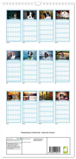 InsideView 5