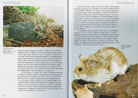 InsideView 3