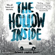 Cover-Bild zum Titel 'The Hollow Inside' von 'Brooke Lauren Davis'