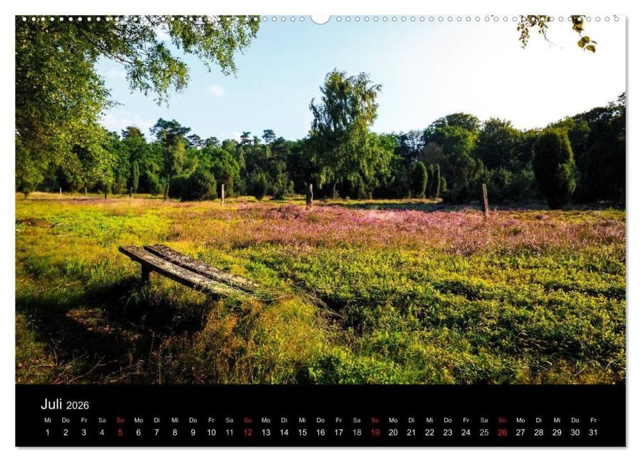 InsideView 11