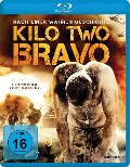 Cover-Bild zum Titel 'Kilo Two Bravo' von 'Tom Williams'