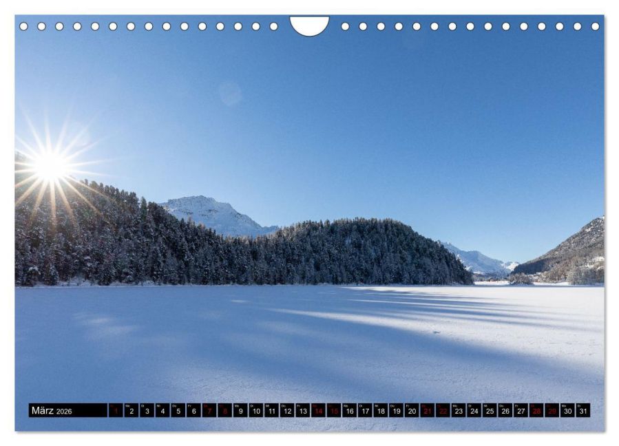 InsideView 8