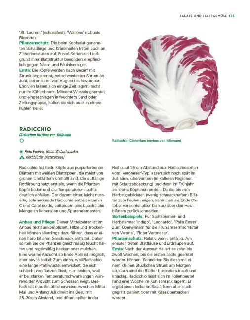 InsideView 11