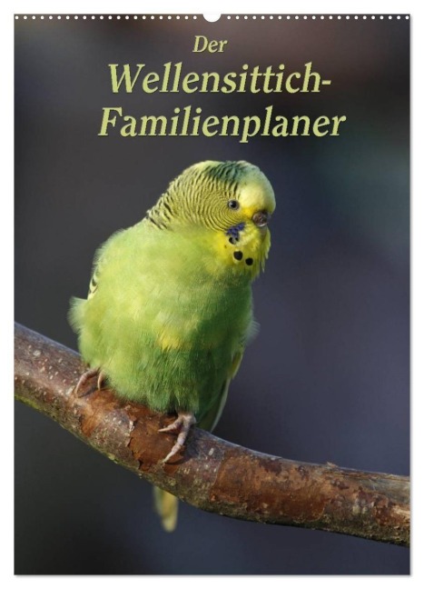 Der Wellensittich-Familienplaner (Wandkalender 2027 DIN A2 hoch), CALVENDO Monatskalender - Antje Lindert-Rottke
