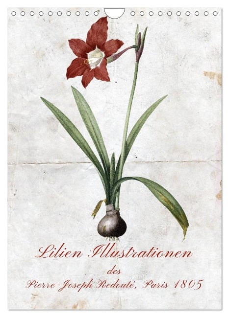 Lilien Illustrationen des Pierre-Joseph Redouté, Paris 1805 (Wandkalender 2025 DIN A4 hoch), CALVENDO Monatskalender - Kavodedition Bonheur18 Switzerland Marena Camadini