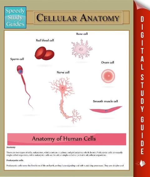 Cellular Anatomy - Speedy Publishing