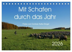 Cover-Bild zum Titel 'Mit Schafen durch das Jahr (Tischkalender 2026 DIN A5 quer), CALVENDO Monatskalender' von 'CoKeDi-Photographie Kelle-Dingel'