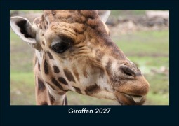 Cover-Bild zum Titel 'Giraffen 2027 Fotokalender DIN A5' von 'Tobias Schmitt, Kevin Heber'